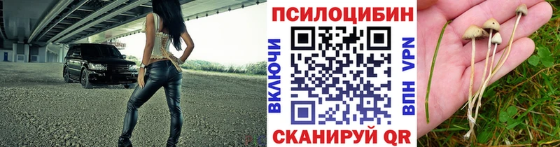 продажа наркотиков  Красноармейск  Псилоцибиновые грибы прущие грибы 